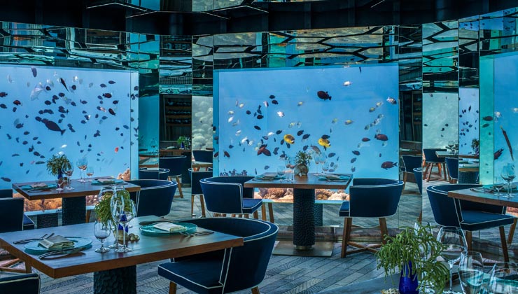 unterwasser restaurant sea anantara