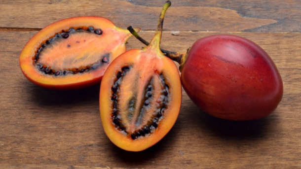 Exotische Früchte: Tamarillo oder Baumtomate