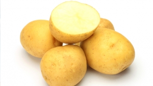 Kartoffel - Aufstieg von der Giftpflanze zum Grundnahrungsmittel
