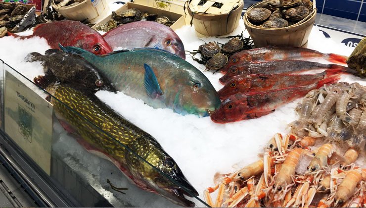 Opulente Fischtheke im Frischeparadies eröffnet