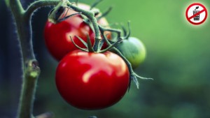 Warum man Tomaten getrennt lagern sollte