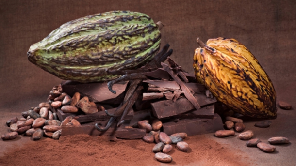 Unbekannter Fitmacher - Leistungsstärker durch Kakao