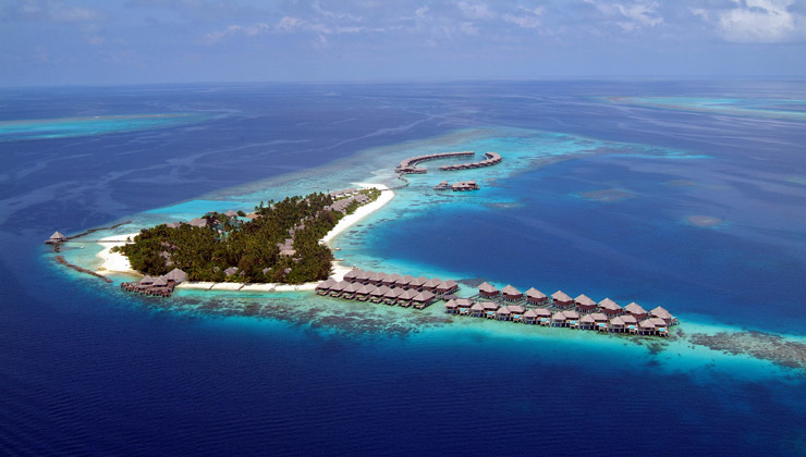 coco bodu hithi