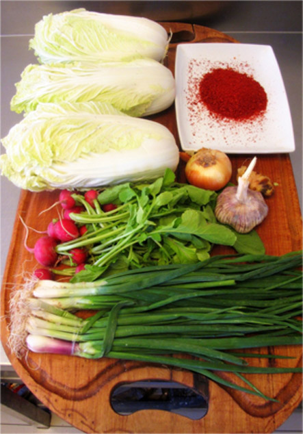 kimchi zubereitung zutaten