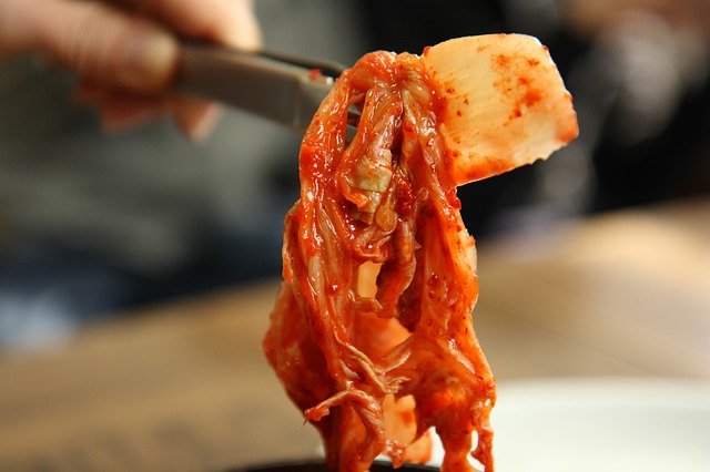 kimchi rezept selbstgemacht