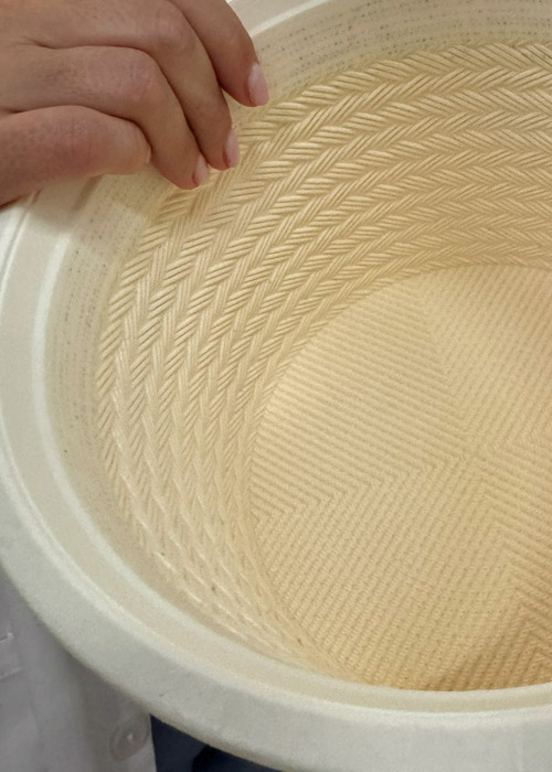 manchego form