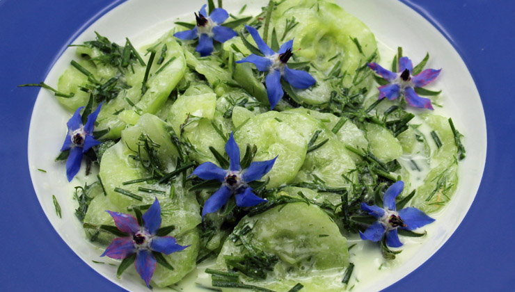 Rezept aus der Kräuterküche: Gurkensalat mit Borretsch - worlds of food ...