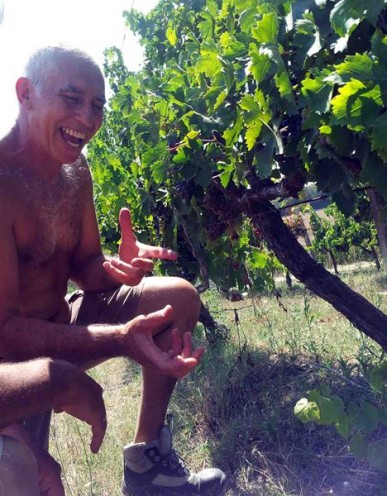 In den Reben hat er immer Spaß