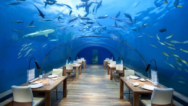 Mit Fischen auf Augenhöhe: Unterwasser-Restaurants