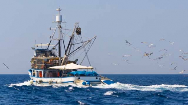 Europa beschließt Fangquoten 2014 für Fische