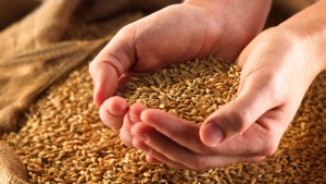 Die Zahl der Woche: 60,1