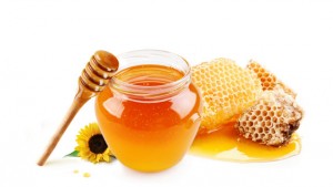 Die Zahl der Woche: 25,3 – Stichwort Bienen