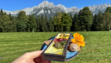 Kaiserschnecke: Zwischen Tradition, Handwerk und Nachhaltigkeit