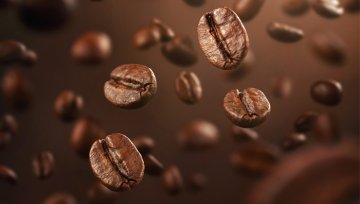 Kaffee-Mythen im Faktencheck