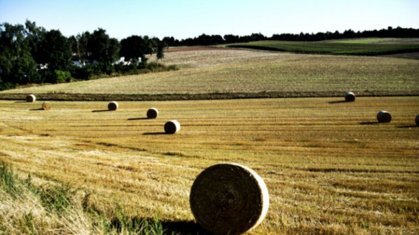 Ökologischer Landbau in Deutschland weiter auf Wachstumskurs