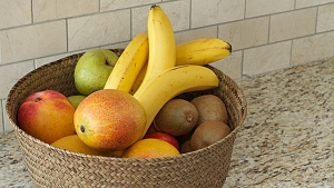 Fruchtfliegen – Wissenswertes zu den kleinen Kücheninsekten