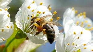 Die Zahl der Woche: 120.000
