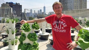 Vom Dach auf den Teller – Die Food Revolution von oben