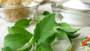 Pflanzlicher Süßstoff – wie gesund ist Stevia?