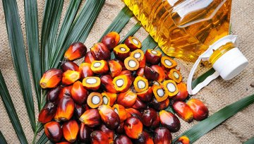 Palmöl in Lebensmitteln: wo es drin steckt, welche Alternativen es gibt