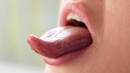 Geschmackszonen der Zunge 