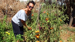 Küchentipps aus aller Welt – Tomatensoße braucht keinen Zucker