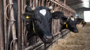 Lebensmittelgesetze – Das ändert sich 2014