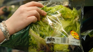 Zu viele Keime im abgepackten Salat