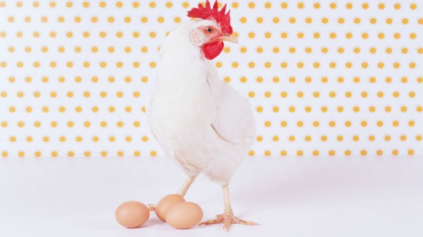 Eier – unentbehrlich für den Körper?