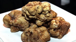 Barolo e Tartufo Gala - Auktion für den guten Zweck