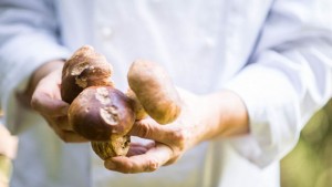 Vegane Kochkurse für Anfänger und Fortgeschrittene