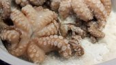 Oktopus japanisch putzen - Tintenfisch richtig reinigen