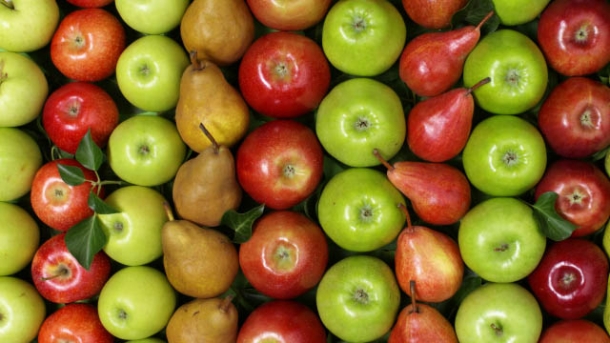 Alte Obstsorten - Nutzen und schützen