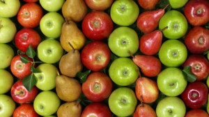 Alte Obstsorten - Nutzen und schützen
