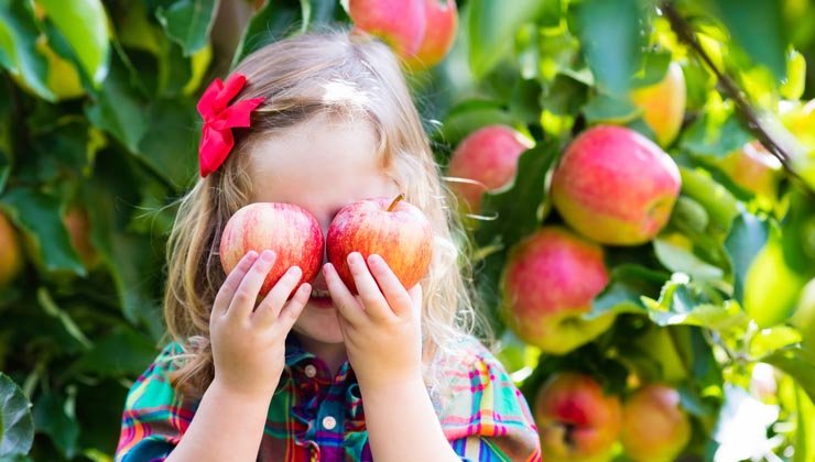 Vom Saft bis zum Bratapfel: So vielseitig sind Äpfel