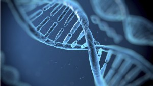 Die Zahl der Woche - 760.000