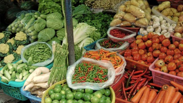 Biolandwirte setzen auf Gemüse, Obst, Wein, Milch und Geflügel  