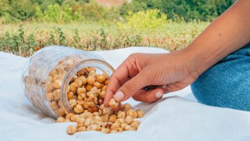 Gesunde Vielfalt im Probierset