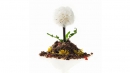 Pusteblume – Aus: Sven Elverfeld. Das Kochbuch