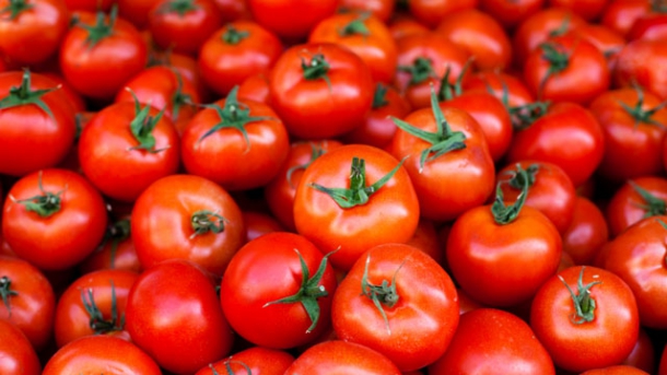 Botulismus - Warnung vor französischer Oliven- und Tomatenpaste 