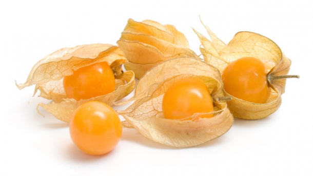 Exotische Früchte: Die Physalis und ihre vielen Namen