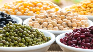 Mehr Bohnen, Erbsen, Soja & Co für Europa