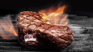 Das perfekte Steak mit dem SteakChamp