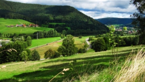 Tag der offenen Tür beim BMELV