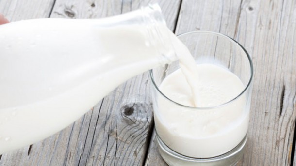 Tag der Milch – Ein Tribut