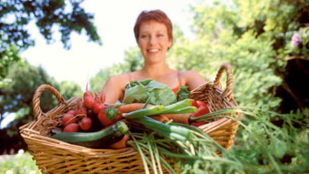 Vegetarisch durch das Jahr - Termine für 2014