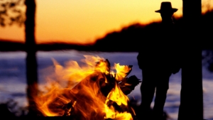 Die Zahl der Woche – 701