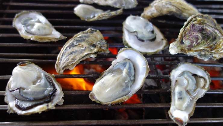 Muscheln auf dem Grill