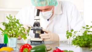 Das Problem mit den Ernährungsstudien