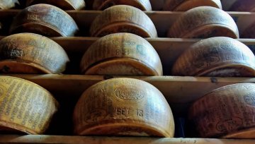 Parmigiano Reggiano – Die Geheimnisse des Parmesans